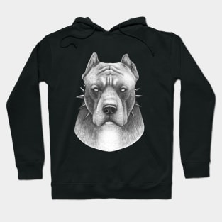 Pitbull on black Hoodie